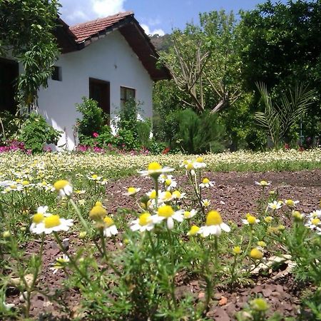 Engin Pension Çıralı Exterior foto