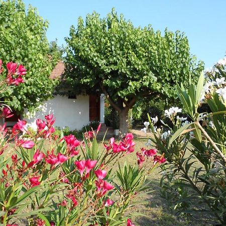 Engin Pension Çıralı Exterior foto