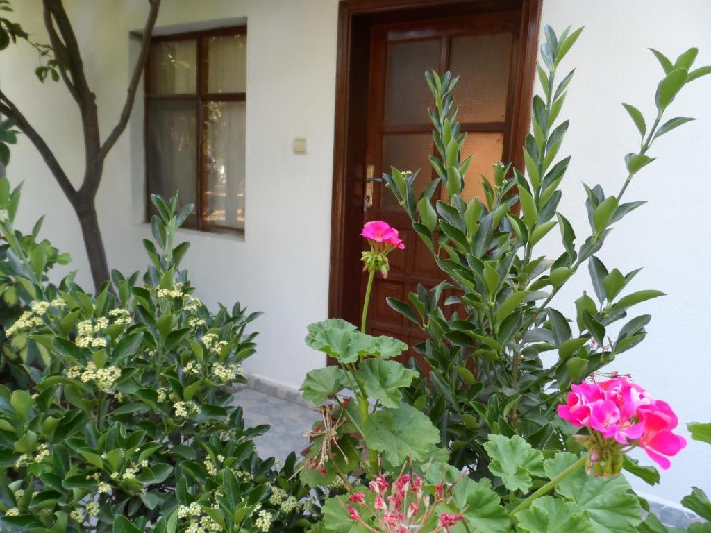 Engin Pension Çıralı Zimmer foto